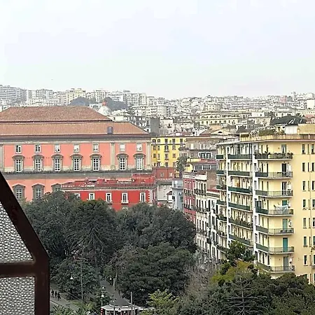 Le Stelle Del Museo Naples