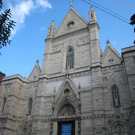Le Stelle Del Museo